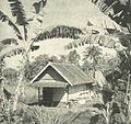 Farmer's house (West Java)