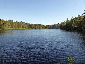 Furåstjärnen från S den 14 juni 2020.