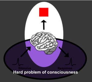 en: Diagram of hard problem of consciousness, ...