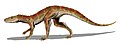 Hesperosuchus, North America (Carnian), 1.5 m