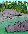 Miniatura per Hippopotamus gorgops