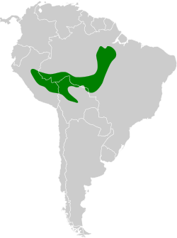 Distribución geográfica del tororoí amazónico.