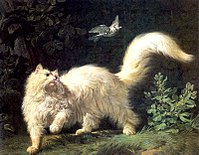 Obraz Angorská kočka francouzského malíře Jean-Jacquese Bacheliera (1724-1806)