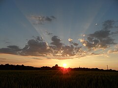 La banlieue au coucher du soleil.