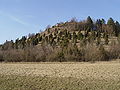 Wacholderheide am Kornbühl