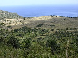 Blick auf die Ostküste Atauros, aus der Nähe von Ili-Timur