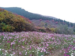 官护山