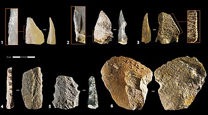 Industrie lithique de la grotte de Blombos en Afrique du sud, les denticulés correspondent aux numéros 4 et 5.