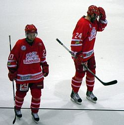 Photo de Lykkeskov et Sundberg.