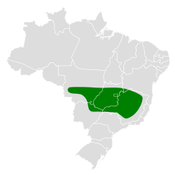 Distribución geográfica de la monterita cinérea.