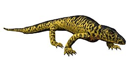 Mycterosaurus