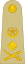 OF-9 Пакистан Army.svg
