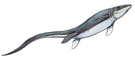 Omphalosaurus