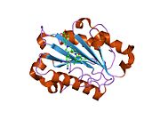 2ica: ساختار کریستالی دومِـین I در LFA-1 در ترکیب با BMS-587101 که با نام ۵-[(۵S, ۹R)-۹-(۴-سیانوفنیل)-۳-(۳٬۵-دی‌کلروفنیل)-۱-متیل-۲٬۴-دی‌اوکسو-۱٬۳,۷-تری‌آزاسپیرو [۴٫۴]غیر-۷-ئیل]متیل]-۳-تیوفن‌کربوکسیلیک اسید هم شناخته می‌شود.