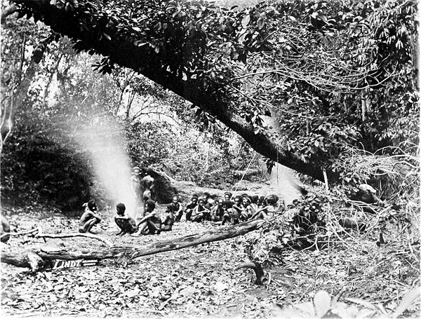 Black and white photograph of a group of men roasting yams in a forested area.