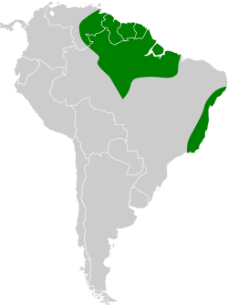 Distribución geográfica del picoplano oliváceo.