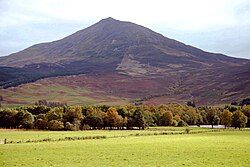 Tras una pradera se observa una montaña que se eleva detrás de una línea de árboles. Los flancos de la montaña están desprovistos de vegetación, y el pico de la montaña posee una cierta simetría.