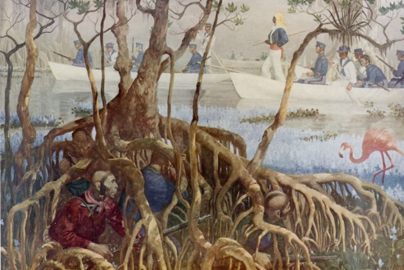 Ficheiro:Seminole War in Everglades.jpg