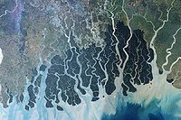 Satellittbilde av det enorme deltalandskapet Sundarbans i Bangladesh. Det beskyttede mangroveområdet er merket med mørk grønn farge. I nord ligger åkerland (lysere grønn), landsbyer (lys brun) og elver (blå). Vannkvaliteten og det biologiske mangfoldet i området påvirkes av miljøet og aktivitene omkring, for eksempel rekeoppdrett, særlig i Bangladesh, og avskogning i Himalayafjellene i nord. Foto: NASA, 2008
