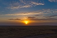 Sunset on the South Kazakhstani steppe.jpg