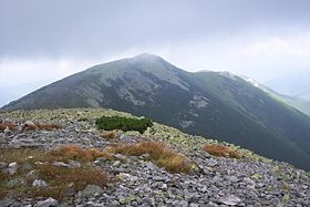 Большая Сивуля (посередине), за ней правее - Лопушна