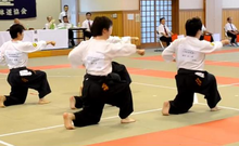 Các võ sinh Taidō đang biểu diễn