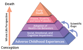 Mechanisms by which Adverse Childhood Experiences influence health and well-being throughout the lifespan.