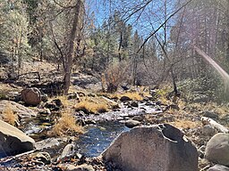 Tonto Creek in Arizona just after Horton Creek joins with Tonto Creek.