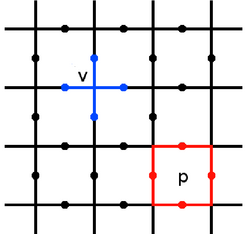 Toric Code Lattice