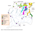 Communautés tribales indigènes et marron