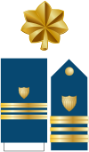 USCG O-4 insignia.svg