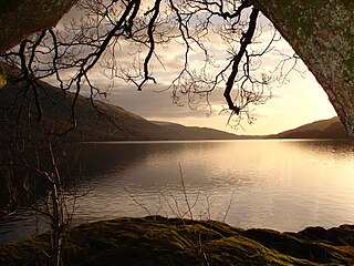 320px-View_of_loch_lomond.JPG