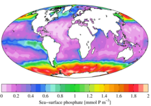 Sea surface phosphate from the World Ocean Atlas WOA09 sea-surf PO4 AYool.png