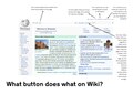 A speedy guide on where to find the different buttons on Wikipedia, and explaining what they do – useful for complete beginners!