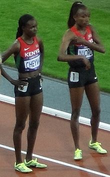 2012 Olympic steeplechase start-Cheywa, Njoroge.JPG