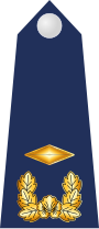 9.SKAF-WO.svg