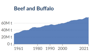 Beef production 1961 2021.png