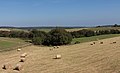 bij Vogelsang, panorama met hooibalen