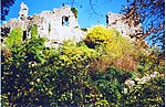 Vignette pour Château du Frankenbourg