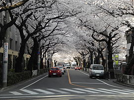 緑町の街並み