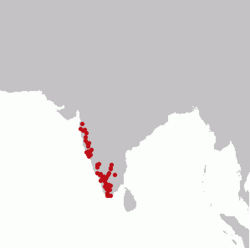 Kort som viser artens udbredelse
