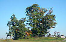 Copse of trees and "high-water mark of the Confederacy" on the Gettysburg Battlefield; looking north Copse of trees Gettysburg 101215.jpg