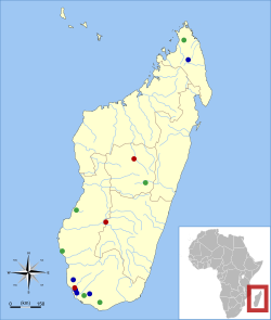 Sitios de hallazgos subfósiles de las especies de Cryptoprocta: azul—C. spelea; verde—C. ferox y C. spelea; rojo—C. ferox[2]​