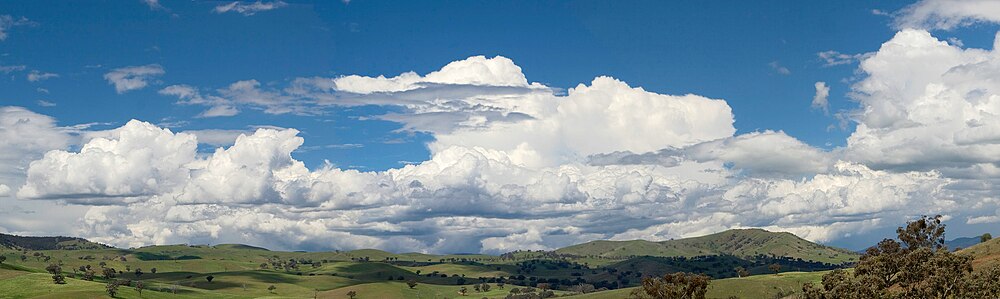 Na pierwszym planie chmury kłębiaste (Cumulus), w głębi − chmury kłębiaste deszczowe (Cumulonimbus calvus)