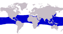 Approximate range of the rainbow runner