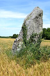 Pierre Longue du Bouchet