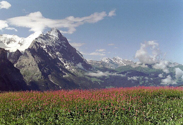 Перевал Гроссе Шайдегг в Швейцарии