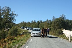 Aunfjellveien