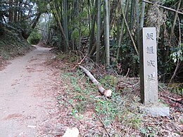 飯櫃城