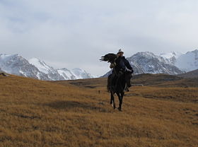 photographie d'un cavalier, aigle à la main, avec les montagnes en arrière-plan